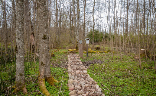 21_Šauklių senovės kulto vieta 1 (1).jpg